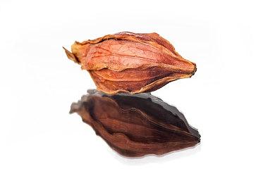 开罗游戏《洞窟冒险团物语》Steam页面上线 支持简中